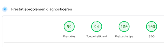PageSpeed Insights-resultaat