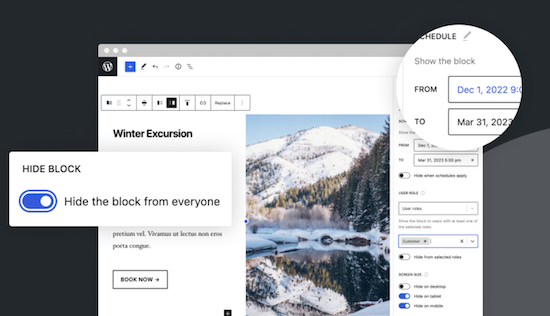 Block Visibility plugin - Conditional Visibility Control