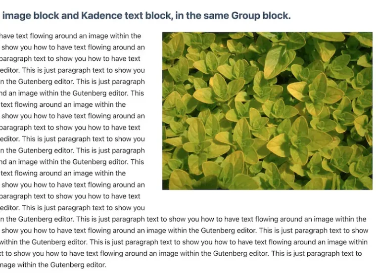 Text flow around an image in WordPress